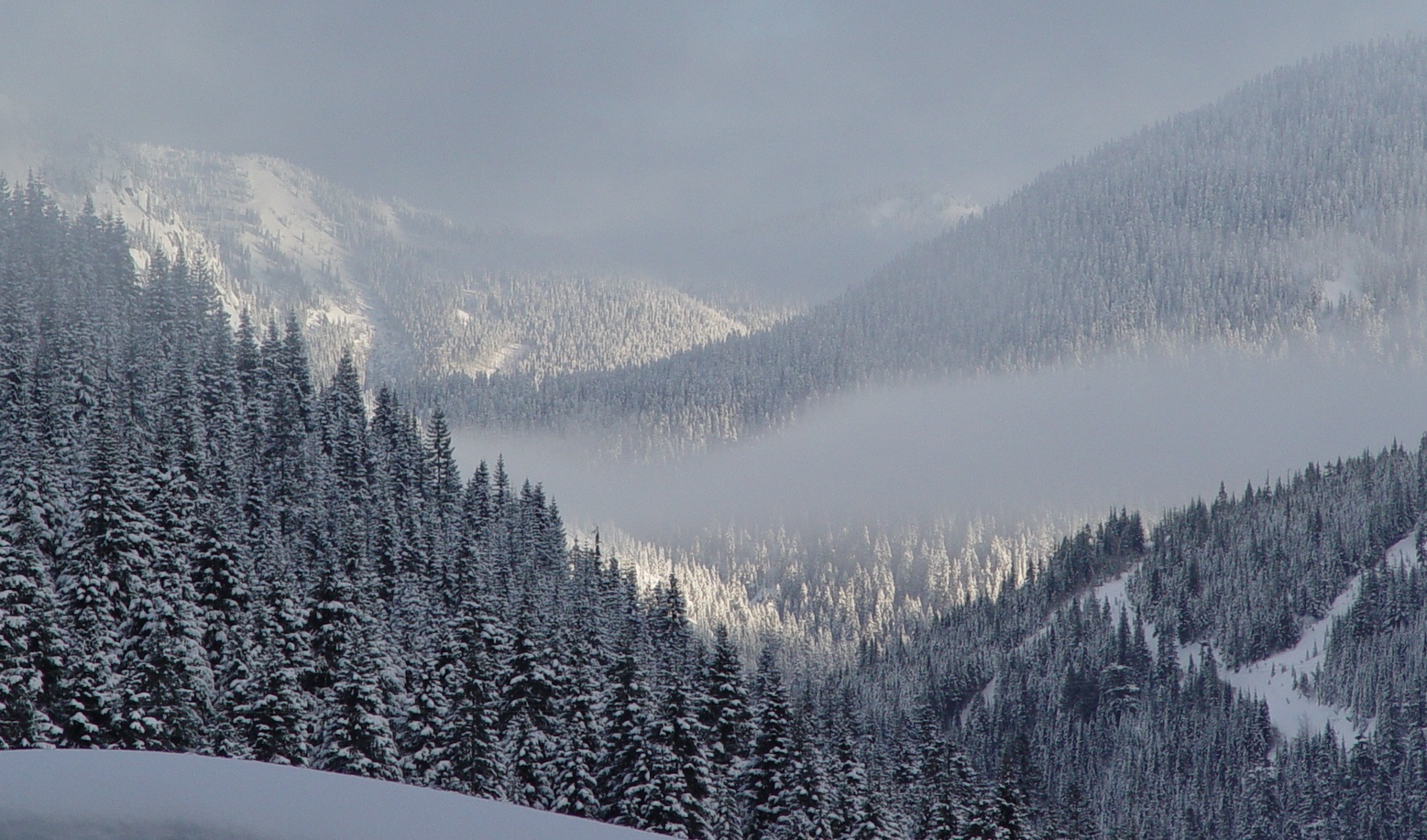 Clouds over snowy forest pass
